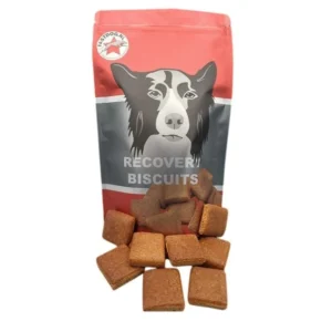 BISCOTTI PER IL REINTEGRO DELLE ENERGIE "FASTDOG RECOVERY BISCUITS"