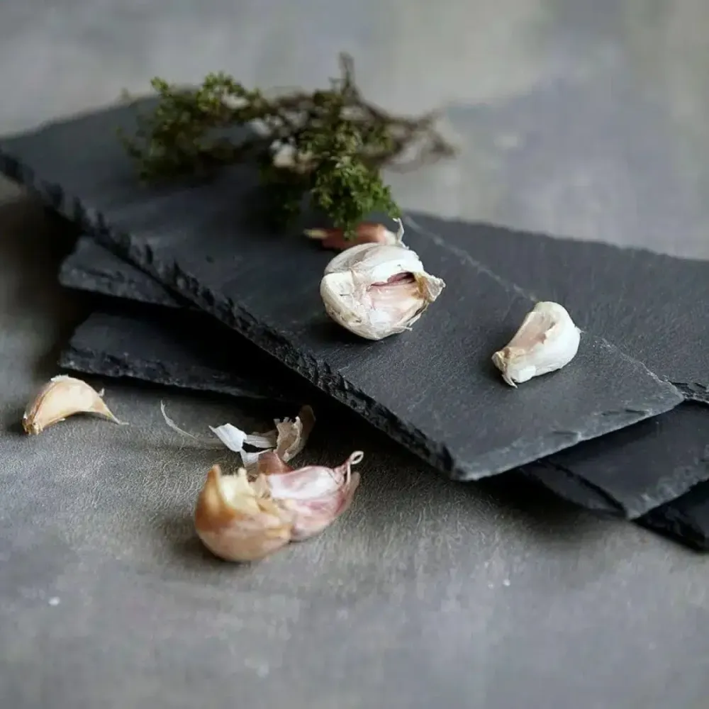Tagliere da portata ardesia Slate Nicolas Vahé