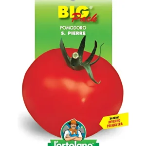 Pomodoro S. Pierre