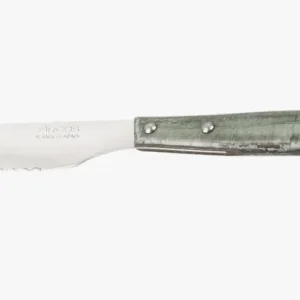 Coltello Bistecca Legno di Pioppo Compresso Tinta Blu 110 mm Acciaio Inossidabile