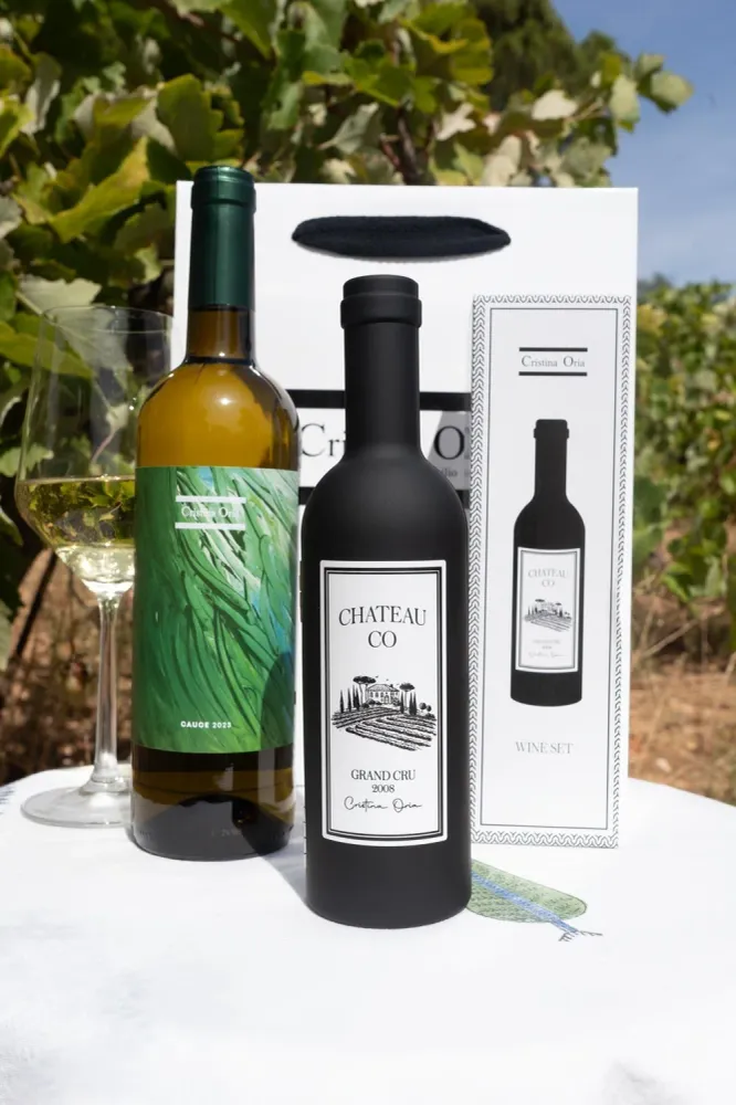 Borsa e bottiglia per vino con accessori per vino CO