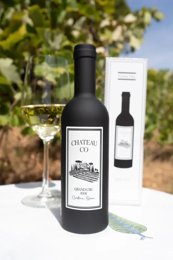 Borsa e bottiglia per vino con accessori per vino CO