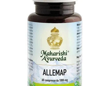 ALLEMAP 60CPR 60G
