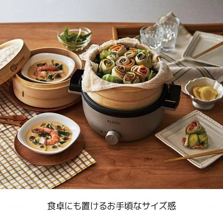 APIX Seiro Steamer Electric Cooker AMZ-450 100V White 1.5L