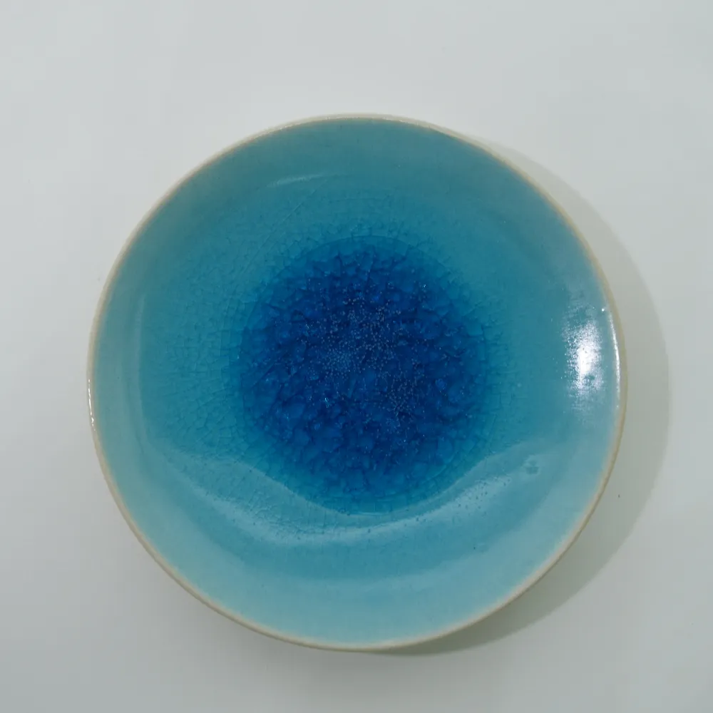 Biwako Cup & Saucer