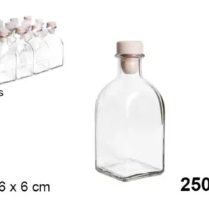 Bottiglia vetro c/tappo plastica 250ml 107537