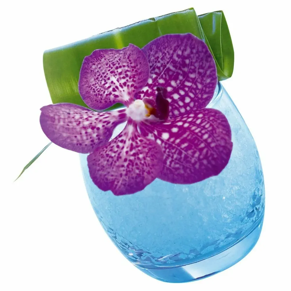 Conjunto de Copos Arcoroc ACC_C9688 Transparente Vidro 320 ml 6 Peças