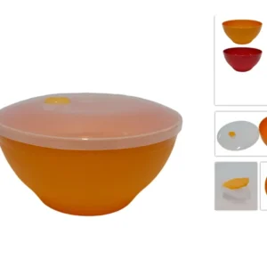 Coppa 5lt con coperchio trasparente diponibile 5 colori assortiti