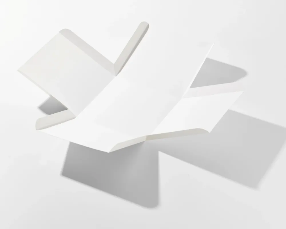 Pack Scatola Bloom + Cake Board 25 cm 3 mm (10 unità) Dasbi