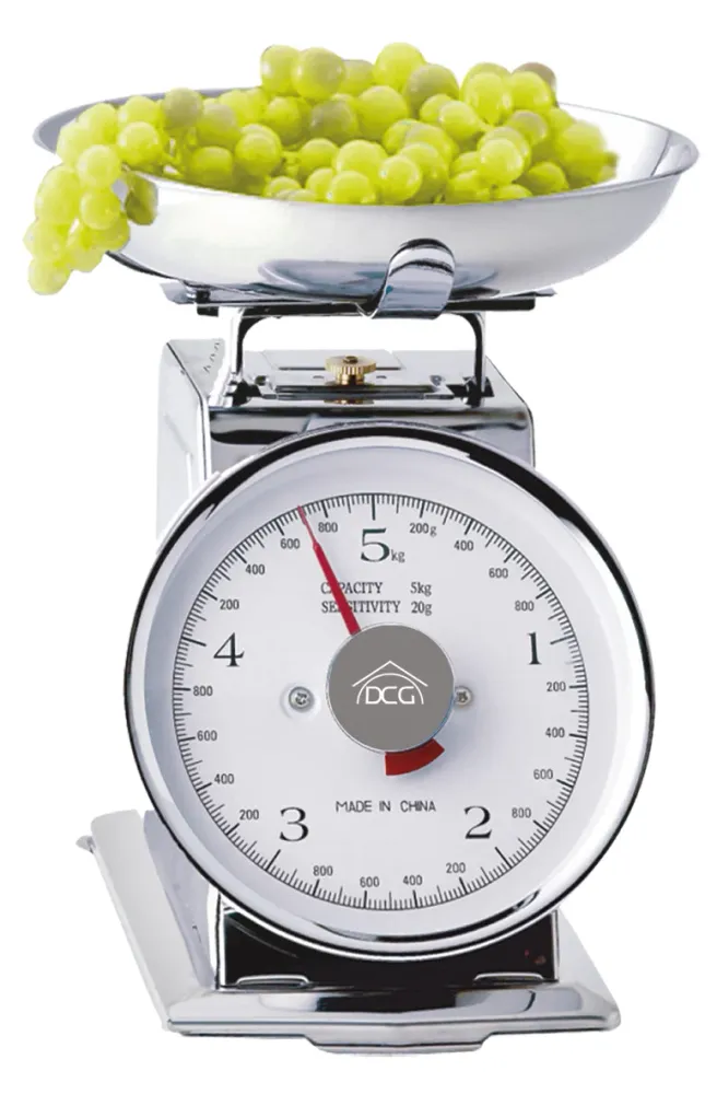 Dcg BILANCIA DA CUCINA Portata kg. 5 Acciaio Inox