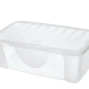 DODO'S BOX M CON COPERCCHIO TRASP 18/CT