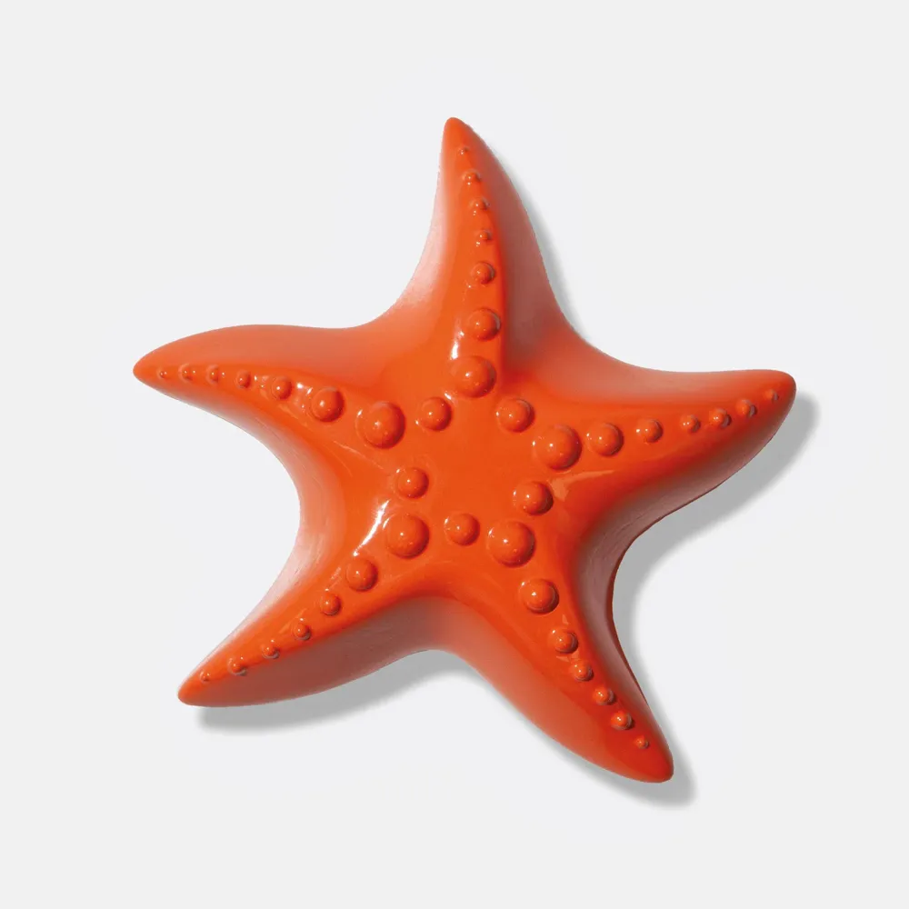 APRIBOTTIGLIE - Doiy, Starfish