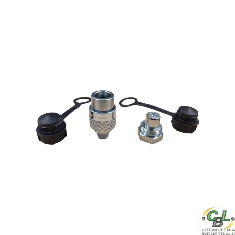 ENERPAC C604 GIUNTO RAPIDO ALTO FLUSSO GIUNTO COMPLETO