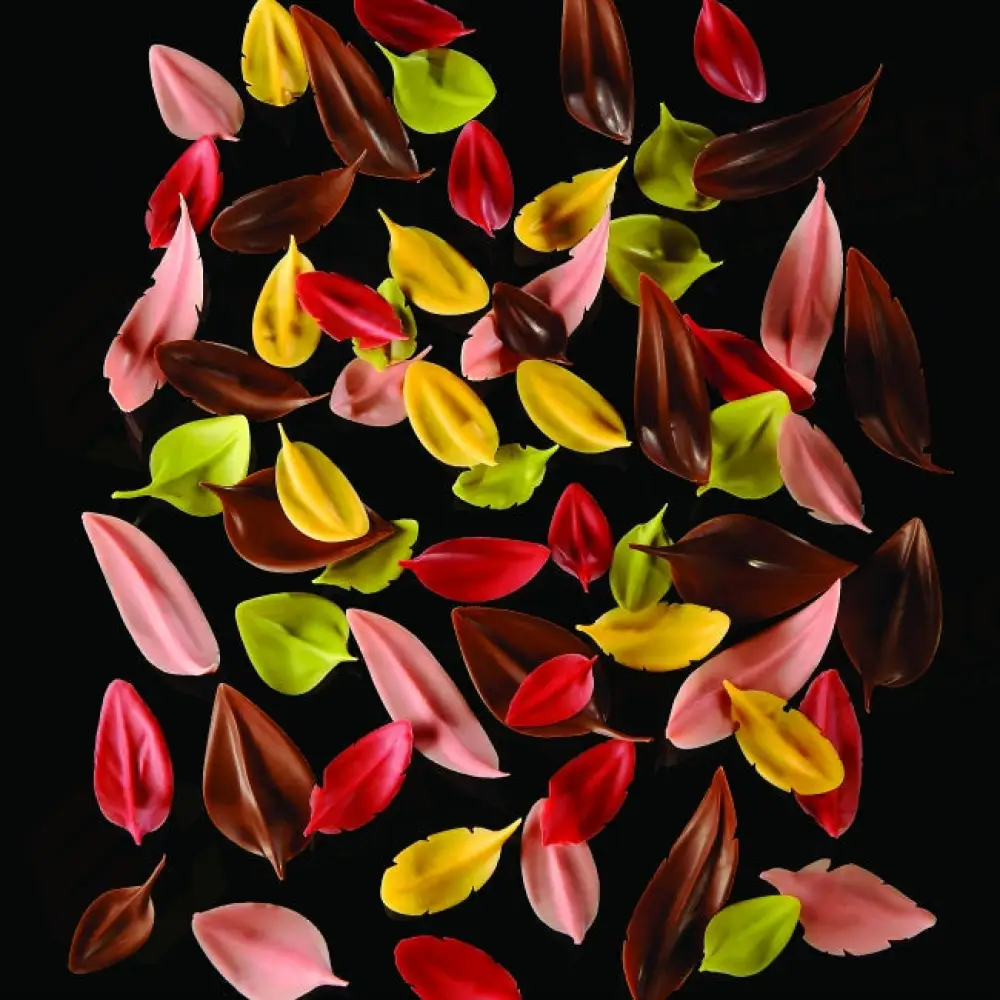 FLYCHOC ATTREZZO ACCIAIO INOX PER DECORAZIONI CIOCCOLATO - FOGLIA M 60 X 30 MM - CH5 - PAVONI ITALIA