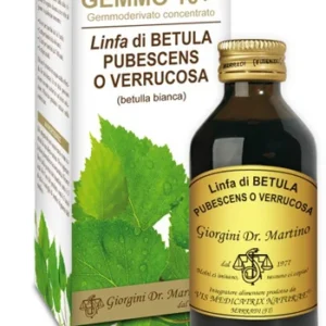 GEMMO 10+ BETULLA B LINFA 100 ML LIQUIDO ANALCOLICO