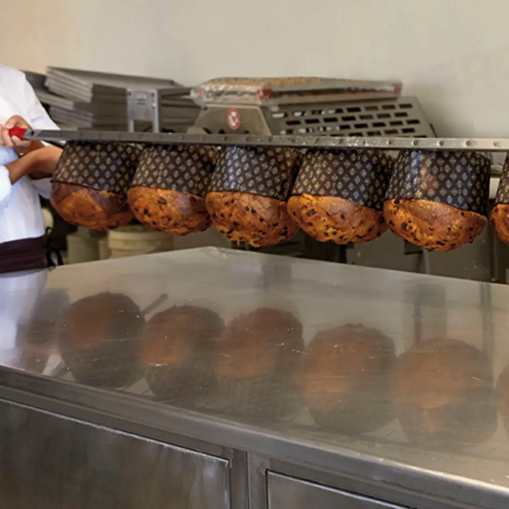 GIRAPANETTONE INOX 2250 MM - GIRATU225 - PAVONI ITALIA