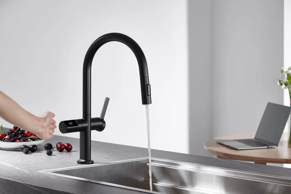 Imex - Rubinetto da cucina Torino con bocca estraibile nero opaco