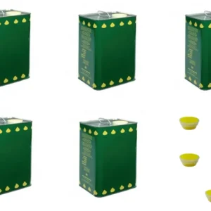 LATTINA LATTA FUSTO LATTA DA 5 LT PER OLIO CON TAPPO PER ALIMENTI FER 269001