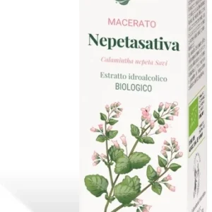 NEPETASATIVA MACERATO CAIRA