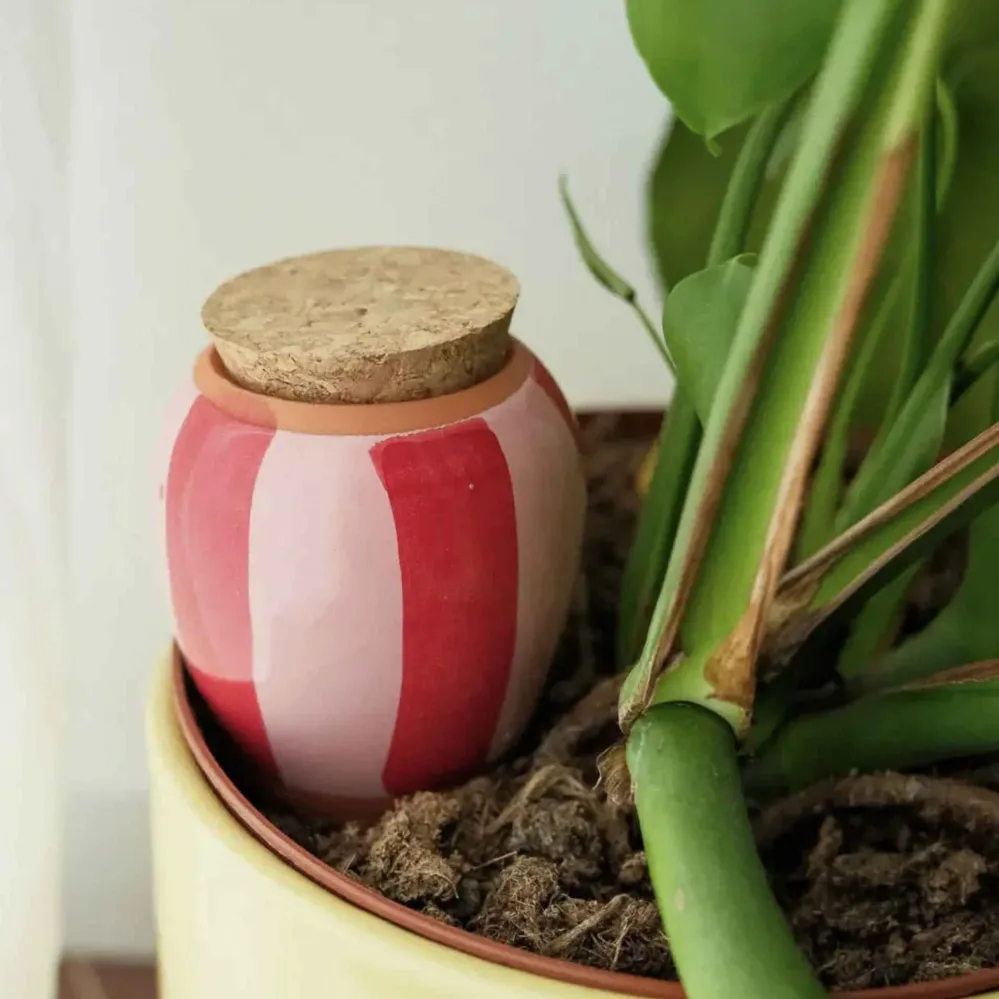 Olla - righe rosa e rosse