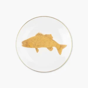 Piatto Cyprinus Carpio