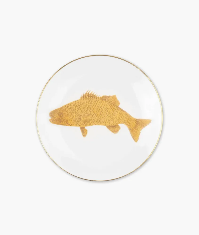 Piatto Cyprinus Carpio