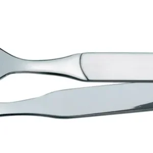 Pinza da buffet piccola 20 cm, 18/10