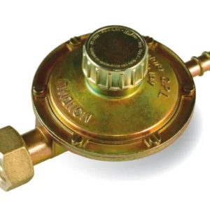 Regolatore Gas Taratura Variabile Portata 1 Kg/H
