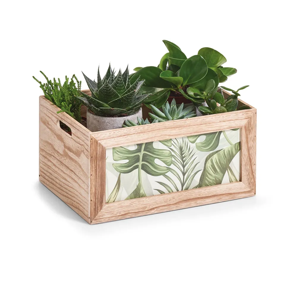 Scatola Jungle Organizer Legno 37x27x18cm