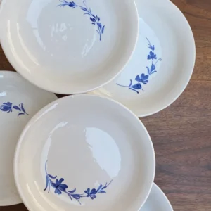 Set dieci piatti fondi ceramica Ironstone