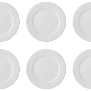 6 Set maxa dura 83 piastra piatta 16 cm aligro