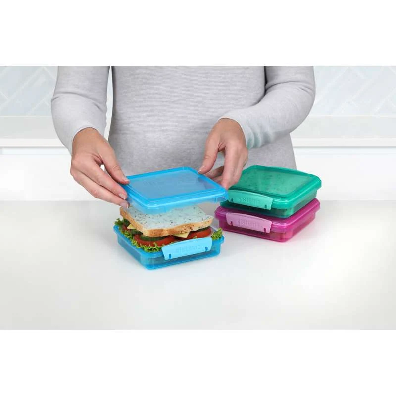 Sistema Scatola per il pranzo - Scatola per panini - 3-Pacchi - 450ml - Ass.