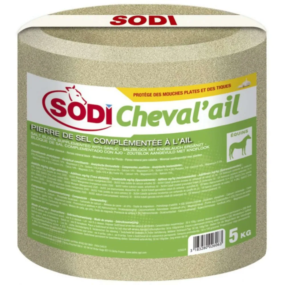 Sodi Blocco di Minerali con Aglio