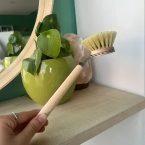 Spazzola per piatti con manico di Officina Naturae