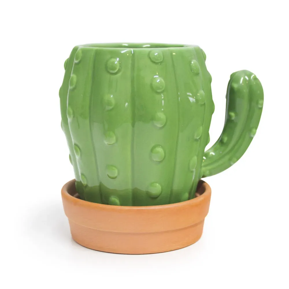 Tazza di cactus