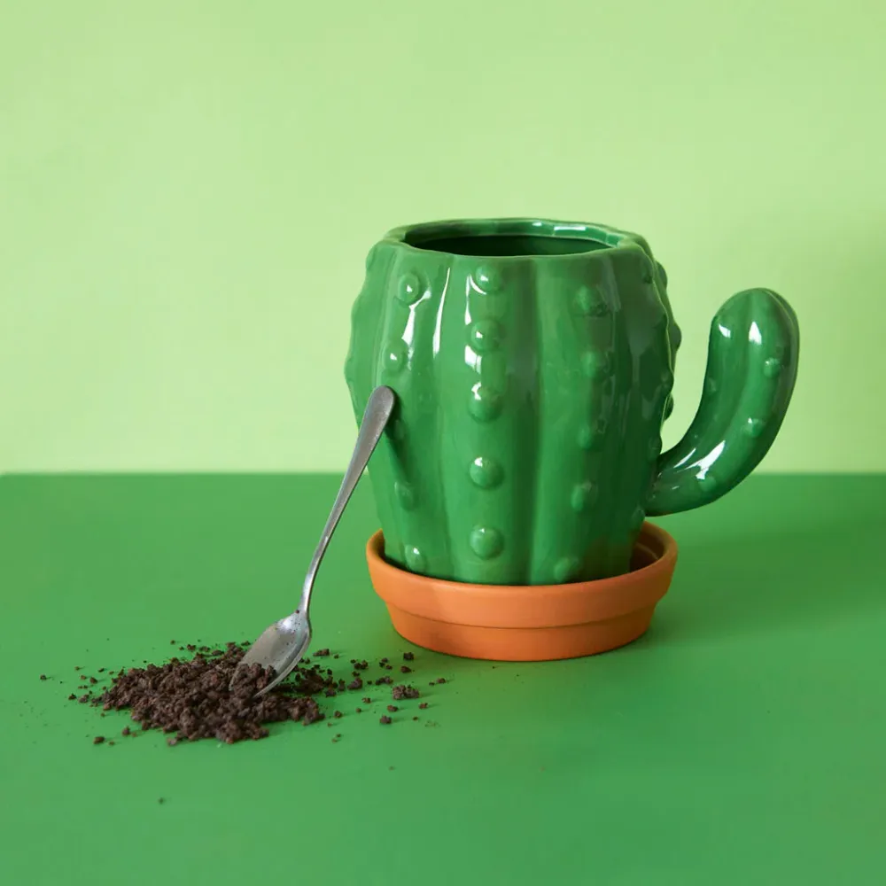 Tazza di cactus
