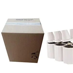 Titaly Portabottiglie Vino Polistirolo con Scatola di Cartone
