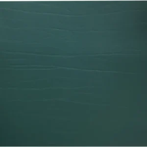 Tovaglietta Dumbo foresta 34x42 cm