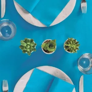 Tovagliolo Con Tasca Portaposate 40x32 Airlaid Packservice Plus Color Mare 1200 Pezzi
