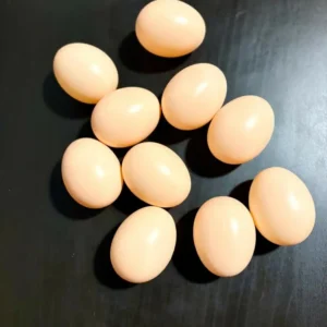 10 pz. Uova Finte per Galline Plastica, aiutano le galline/uccelli nella Cova