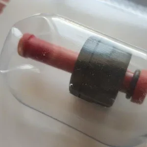 Valvola segnapressione pentola Aeternum originale