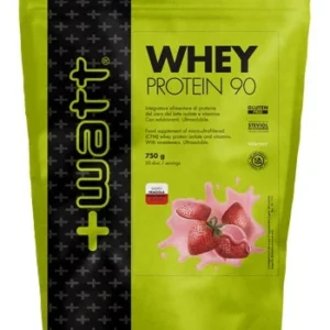 WHEY PROTEIN 90 FRA 750G DOYPA