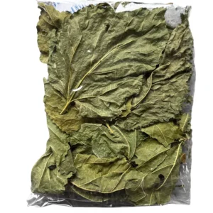 AQUASHRIMP Foglie di Gelso 10 gr