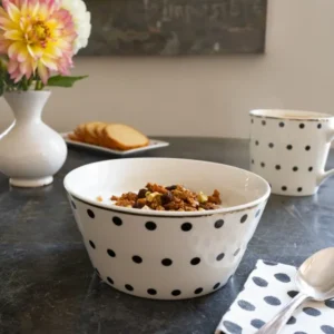 Ciotola bianco e nero con design pois