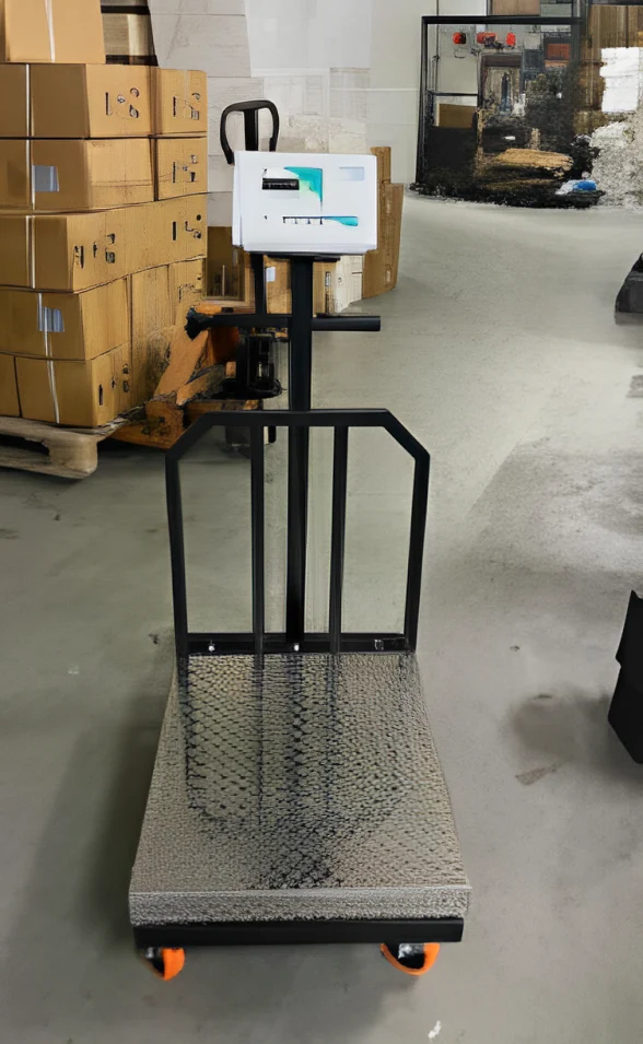 BILANCIA CARRELLO 500 X 600