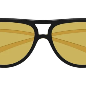 BOTTEGA VENETA BV1418S 001