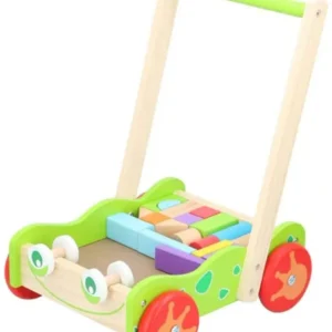 Carrello per Imparare Camminare per Bambini con Blocchi Legno Colorato