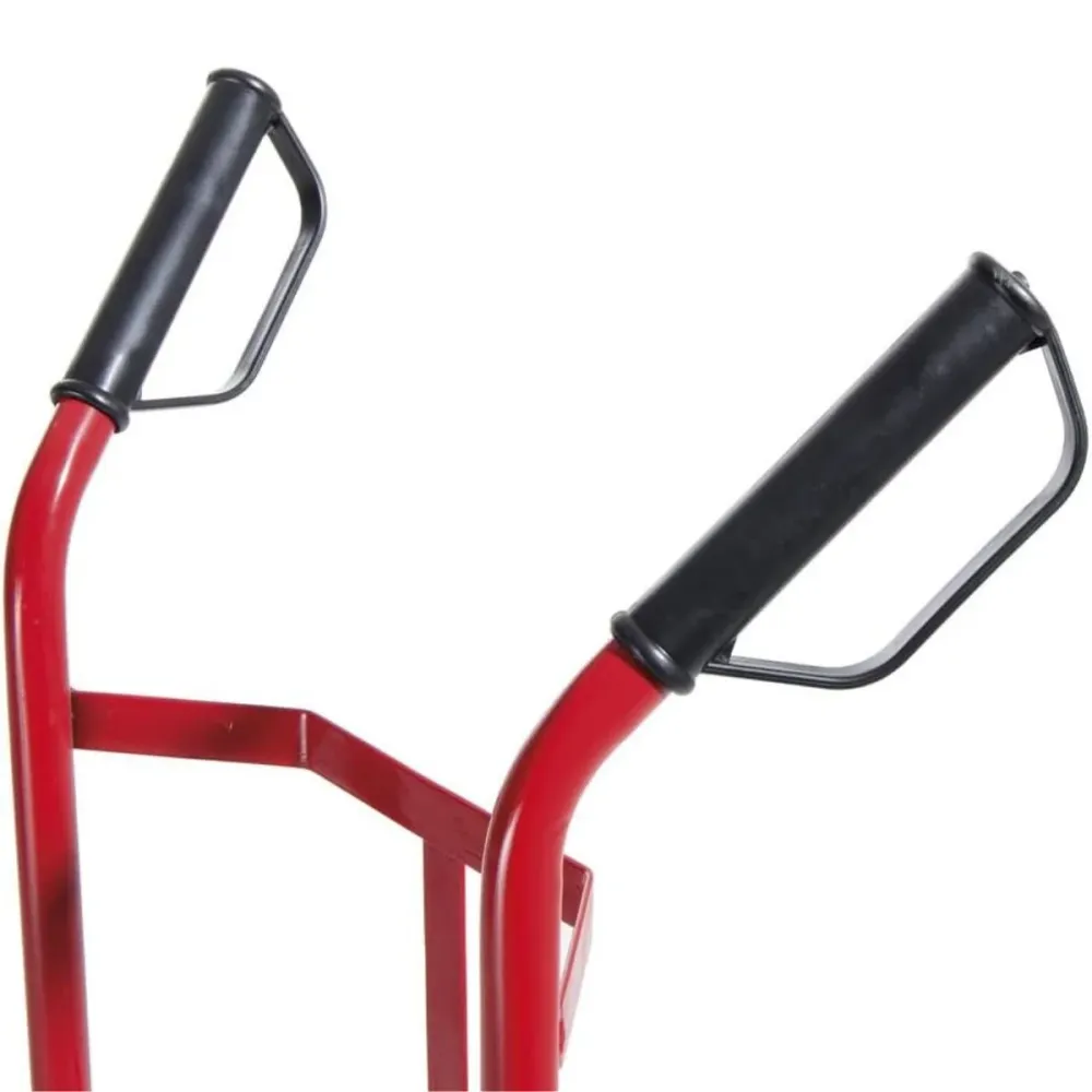 Carrello Portapacchi professionale con ruote pneumatiche portata 150kg Cilvani