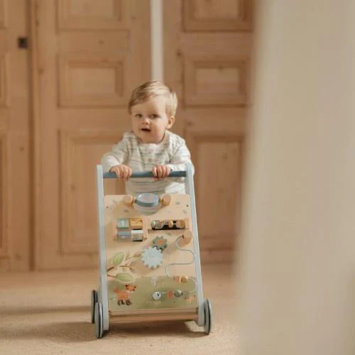 Little Dutch Carrello Primi Passi Legno – Forest Friends Blu