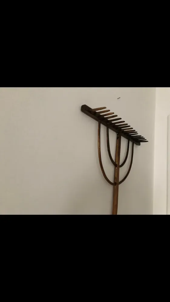 Rastrello antico legno curvato
